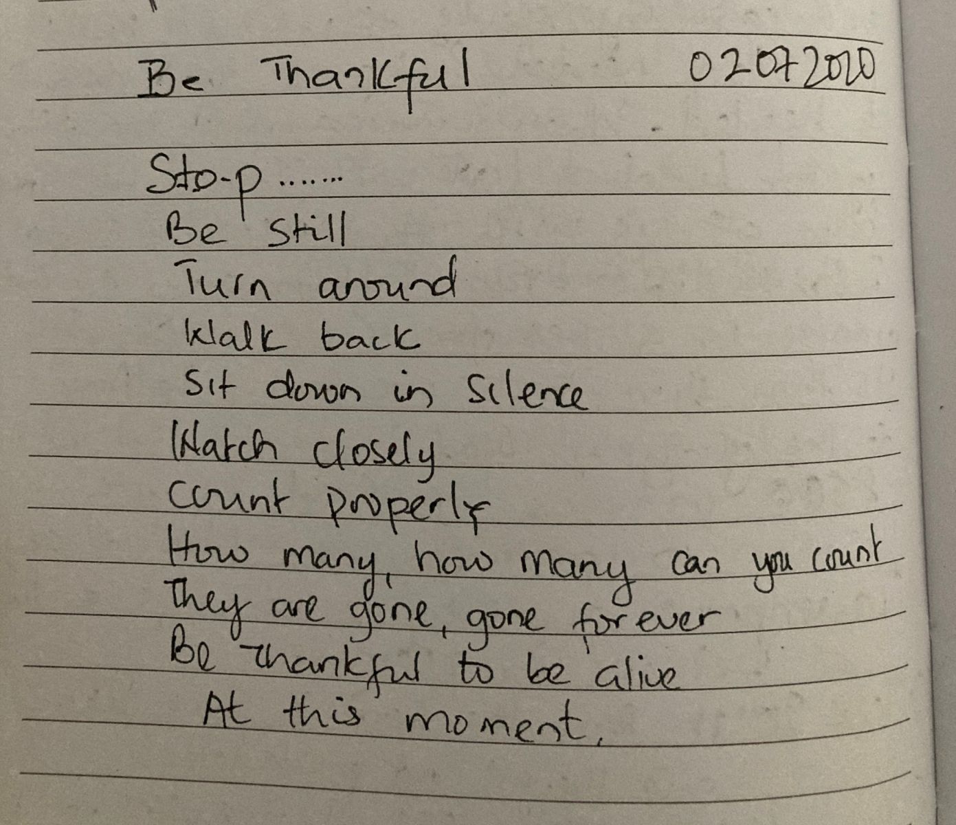 extract from Vicky’s diary