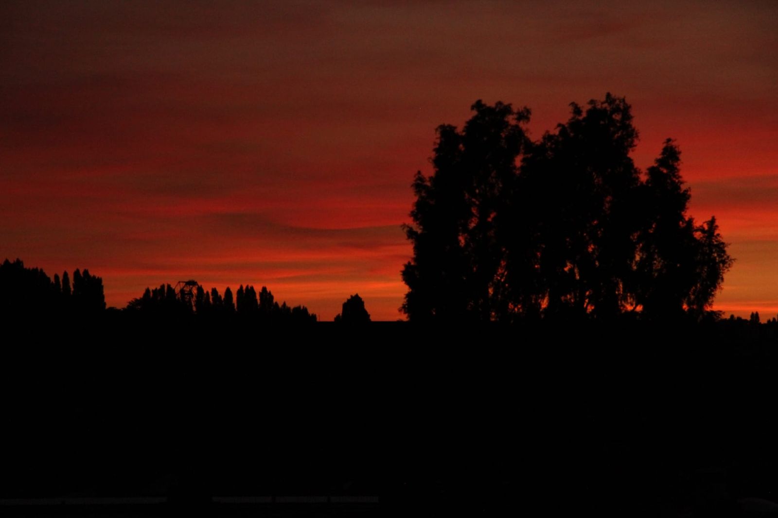 Orange sky at sunset