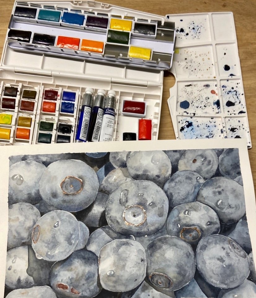 Watercolour blueberries painted during lockdown