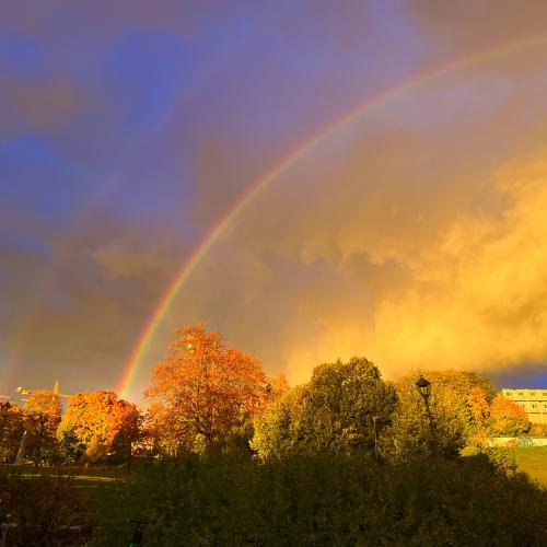rainbow in an autumn day symbolising the magical dust of hope