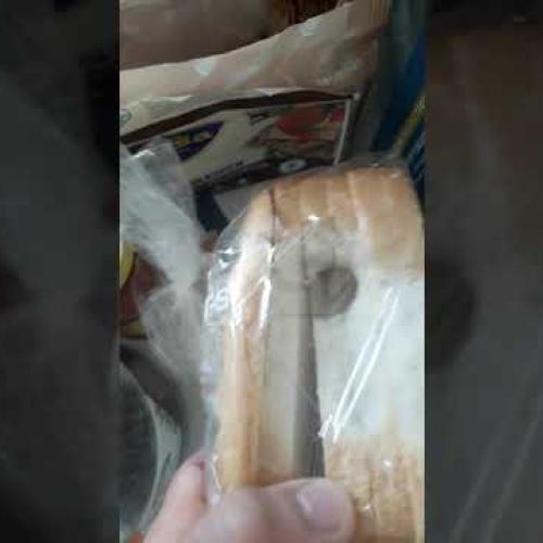 Mouse-eaten bread in The Netherlands