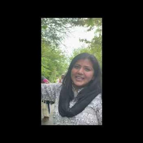 Nylah Ahmad explains art in the park
