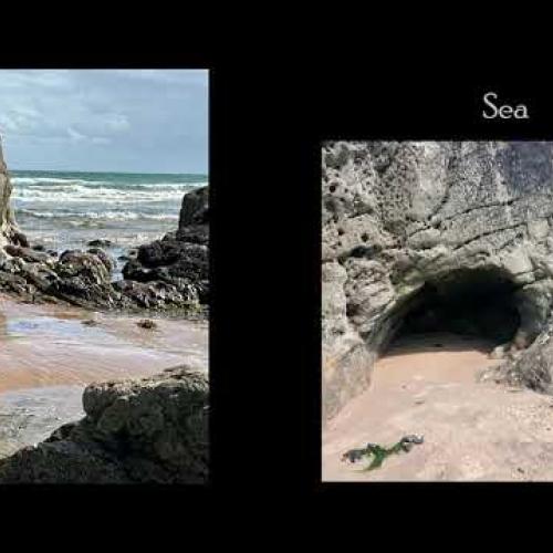 Sea