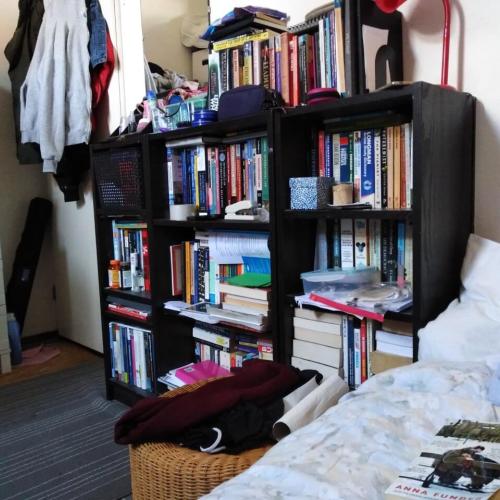 bookshelf in the room