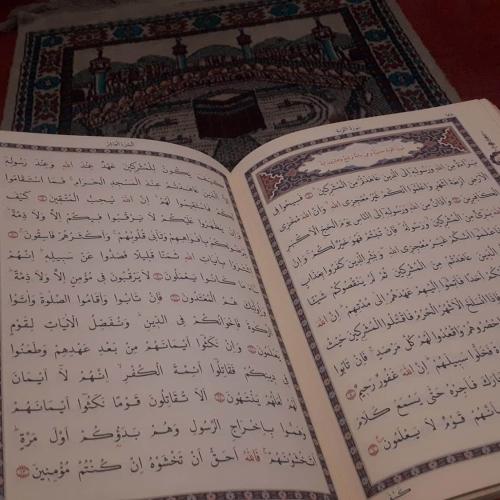 Reading The Quran in Krnjaca Asylum Centre in April/May 2020