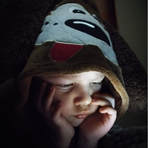 A young boy reading in the shelter