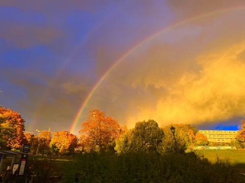 rainbow in an autumn day symbolising the magical dust of hope