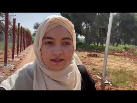 Parwana Amiri