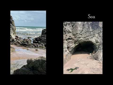 Sea