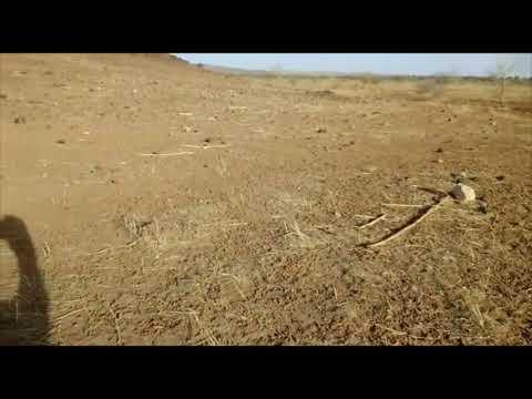 Draught land in Niger