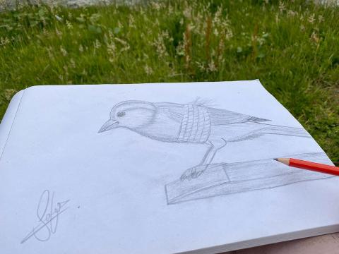 Tied bird
