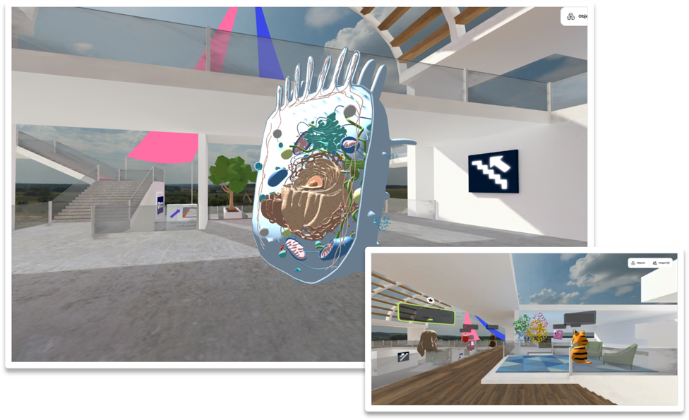A 3D model of a mammalian cell, and students as a variety of avatars in a VR environment studying a 3D model of haemoglobin.