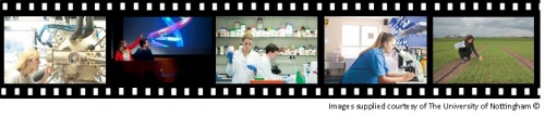 Horizon in STEM Conference image