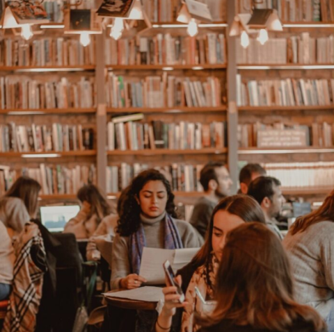 Student studying in library
