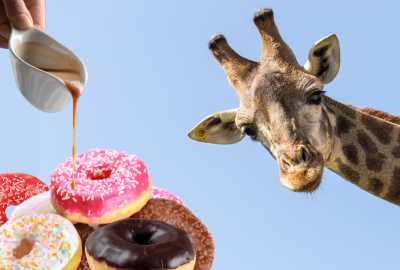 a giraffe looking a doughnuts 