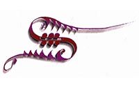 Musica Scotica 'S' logo