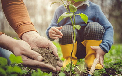 An adult and small child planting a tree