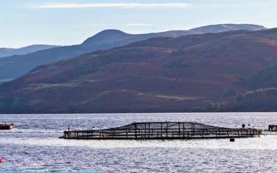 Fish farm photo