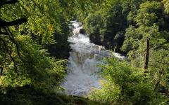 Falls of Clyde