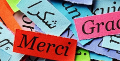Photo of strips of paper with words on them in different languages
