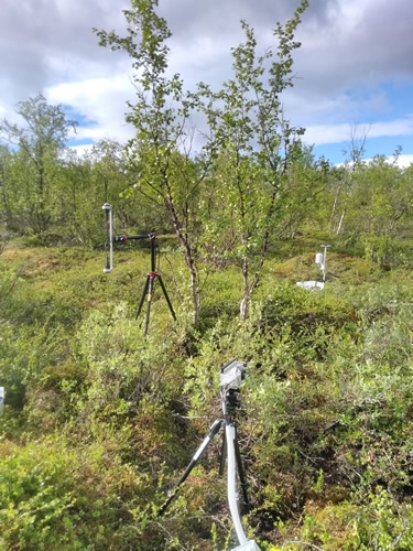 sensing equipment is placed in different locations near bushes and trees