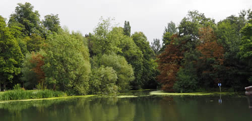 Ecosystems