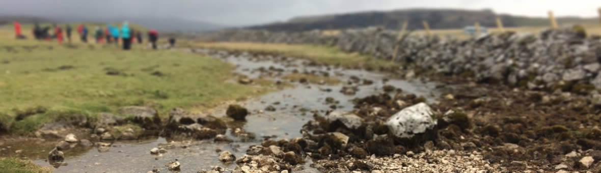 Postgraduate Qualifications - a small stream with members of a field school in the distance