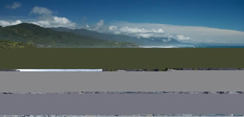 Palaeobiology and Ecosystem Dynamics