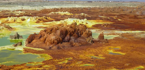 Microorganisms in extreme environments