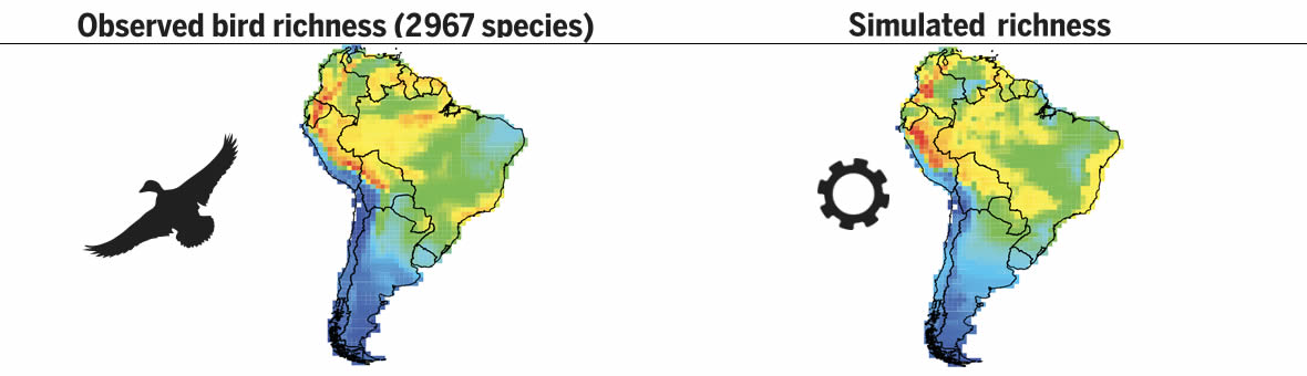 Paleoclimate variability, dynamics and ecosystem interactions