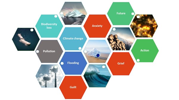 A schematic showing some of the different aspects of ecoanxiety.