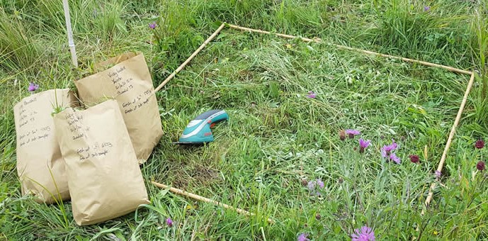 A floodplain meadow with a quadrat and three bags of pasture.
