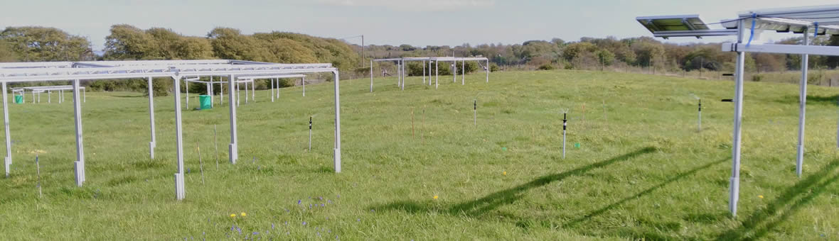 Ecophysiology - testing equipment on large metal frames is spaced out in a field