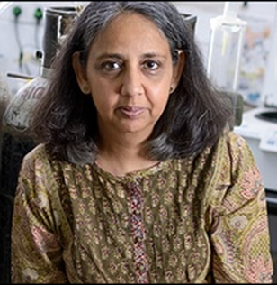 Professor Gaiti Hassan