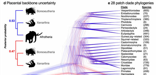 Bayesian methodology in phylogeny, ecology and species comparison 