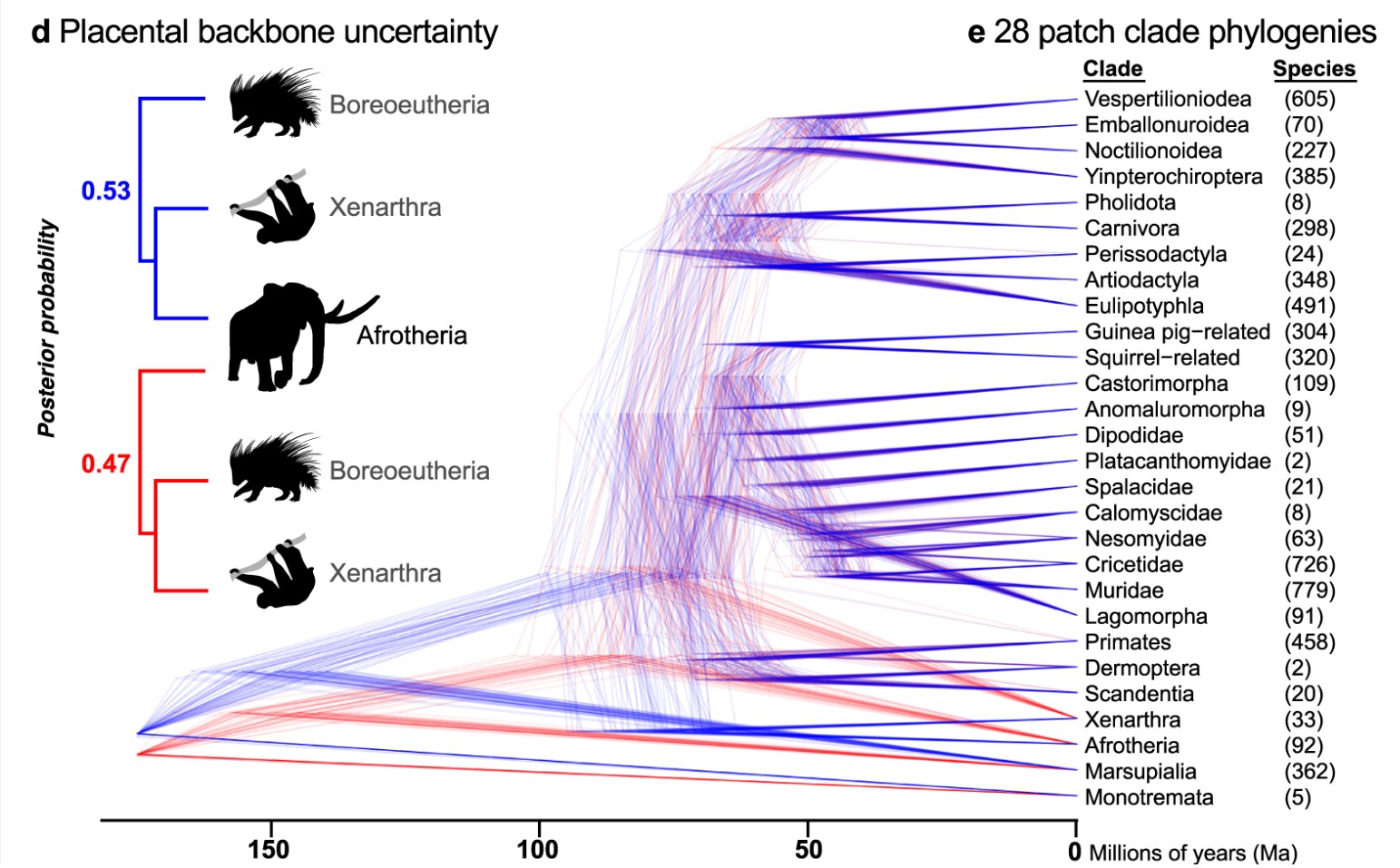 Chart comparing different animal species