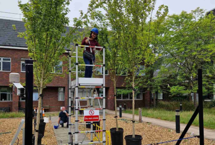 Ramla Kahn is stook on a small scaffolding structure amongst some urban trees in a residerntial area