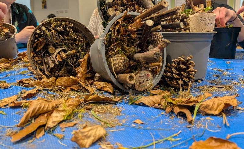 Hedgehog Friendly Campus 