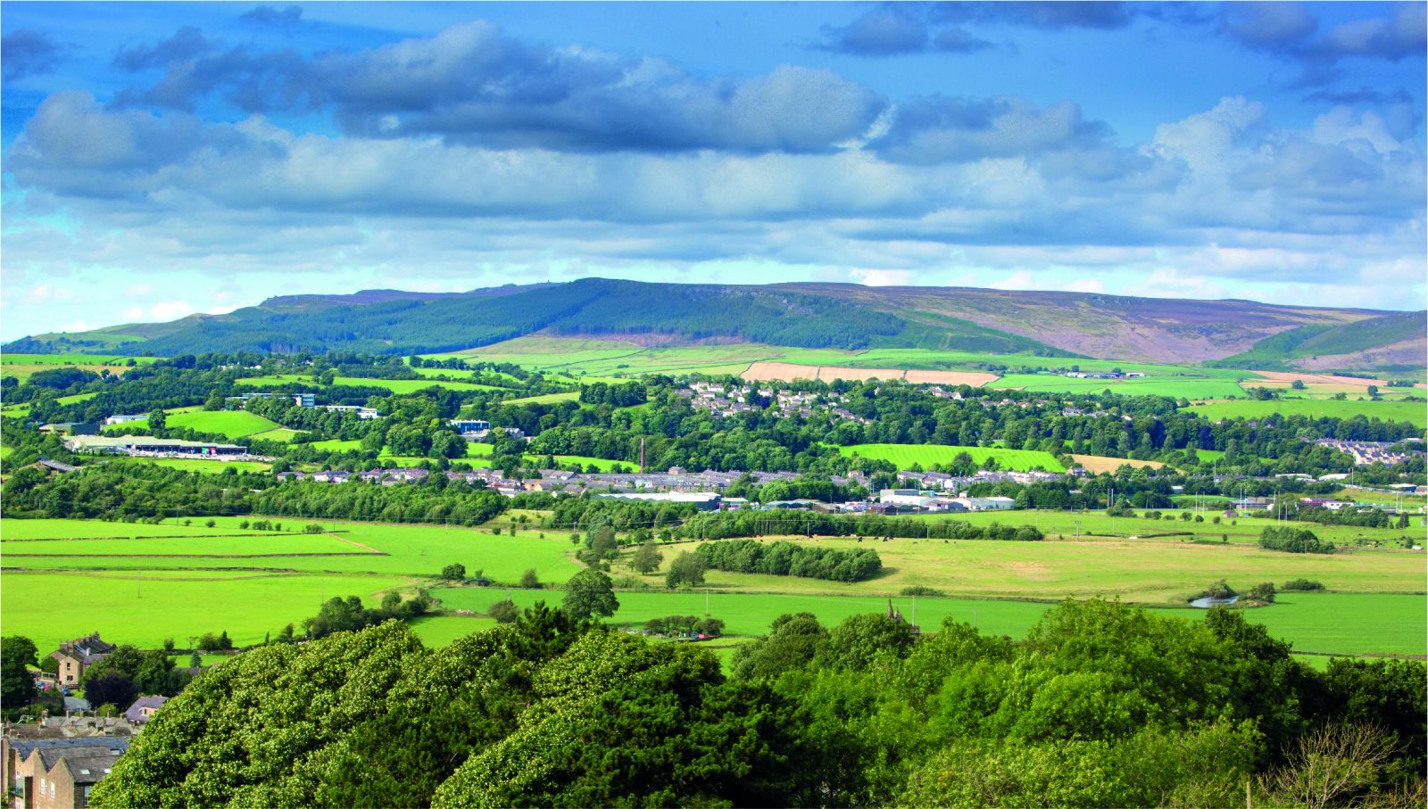 Image of Craven College