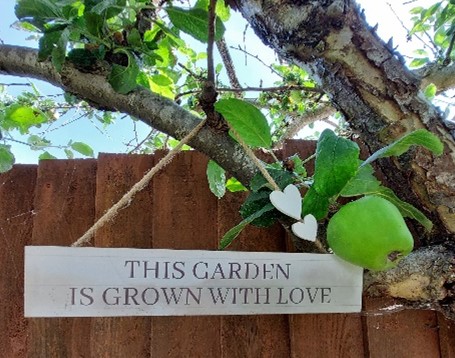 Arwydd ar goeden yn dweud 'mae'r ardd hon wedi'i thyfu â chariad'
