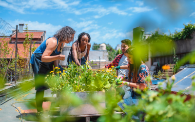 People gardening in a community