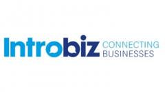 Introbiz logo